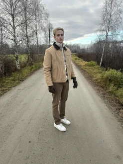 Chinos regular fit