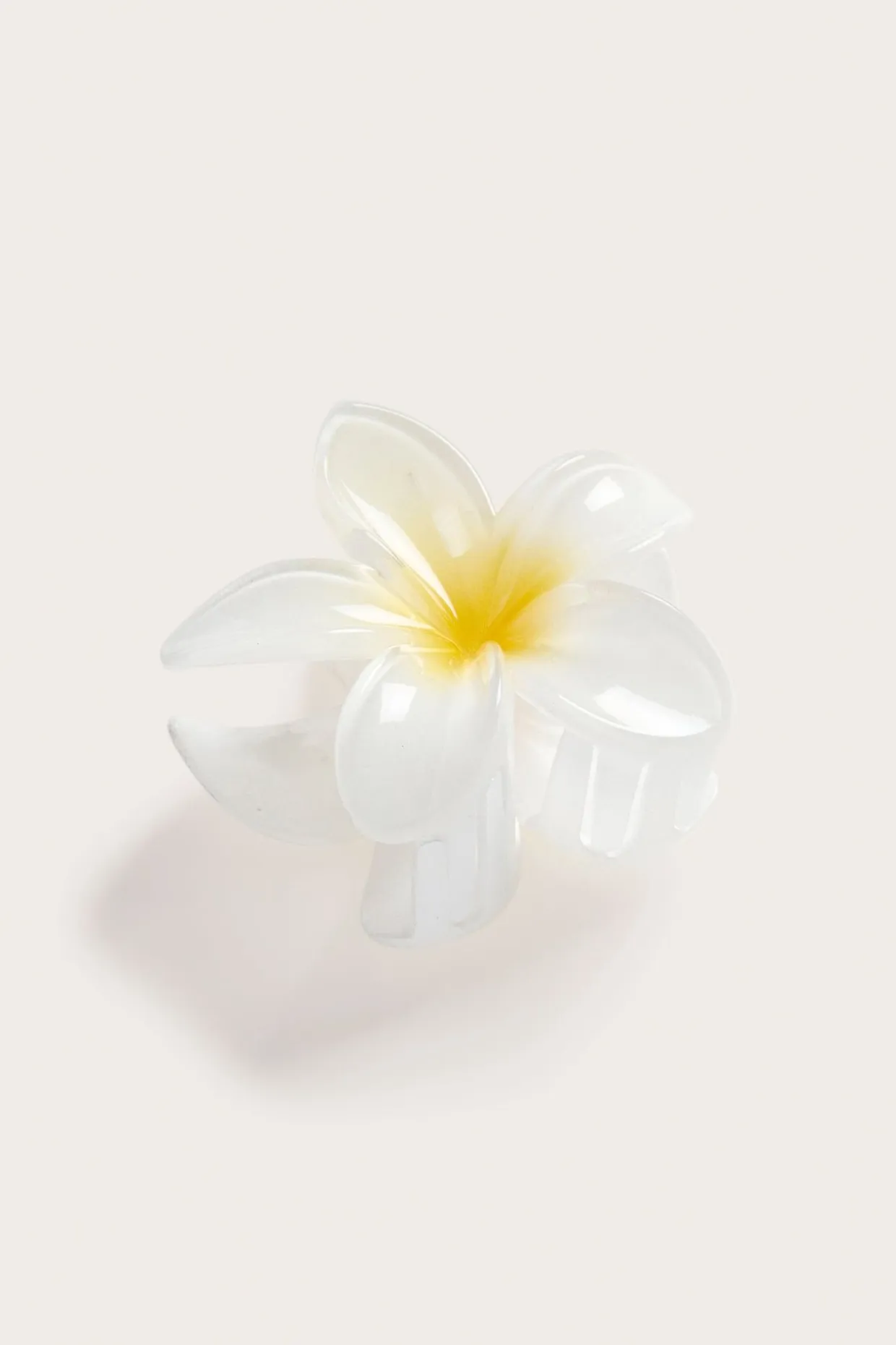 Hårklämma blomma