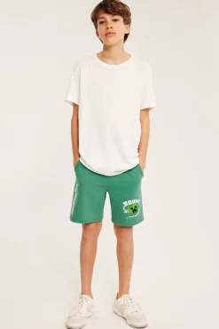 Mjukisshorts med Minecraft print