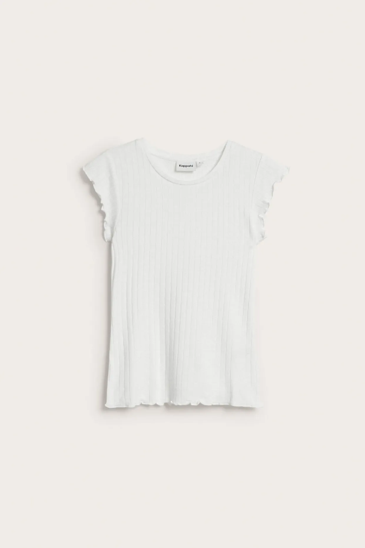 Pointeille topp