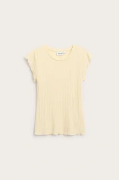 Pointeille topp