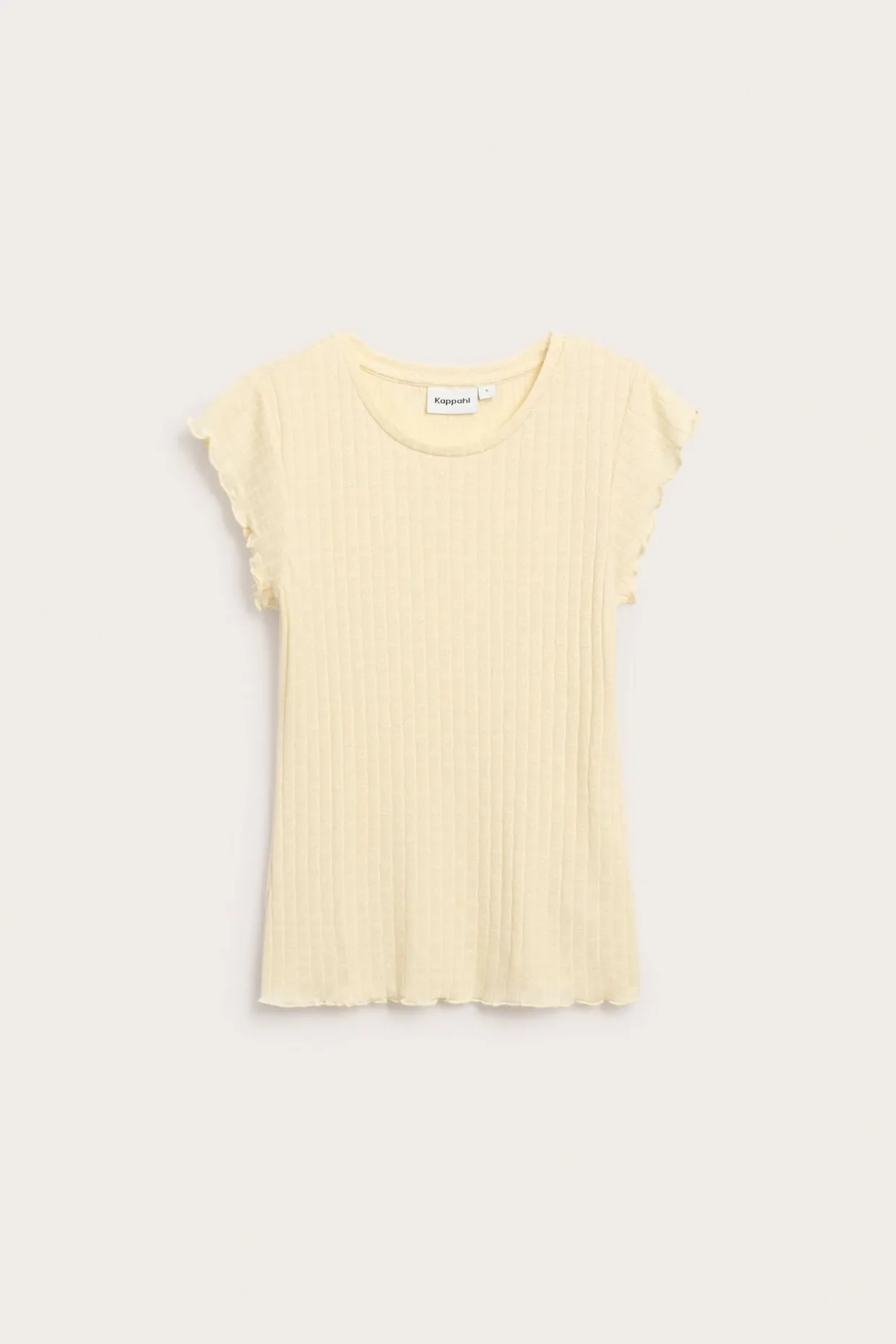 Pointeille topp