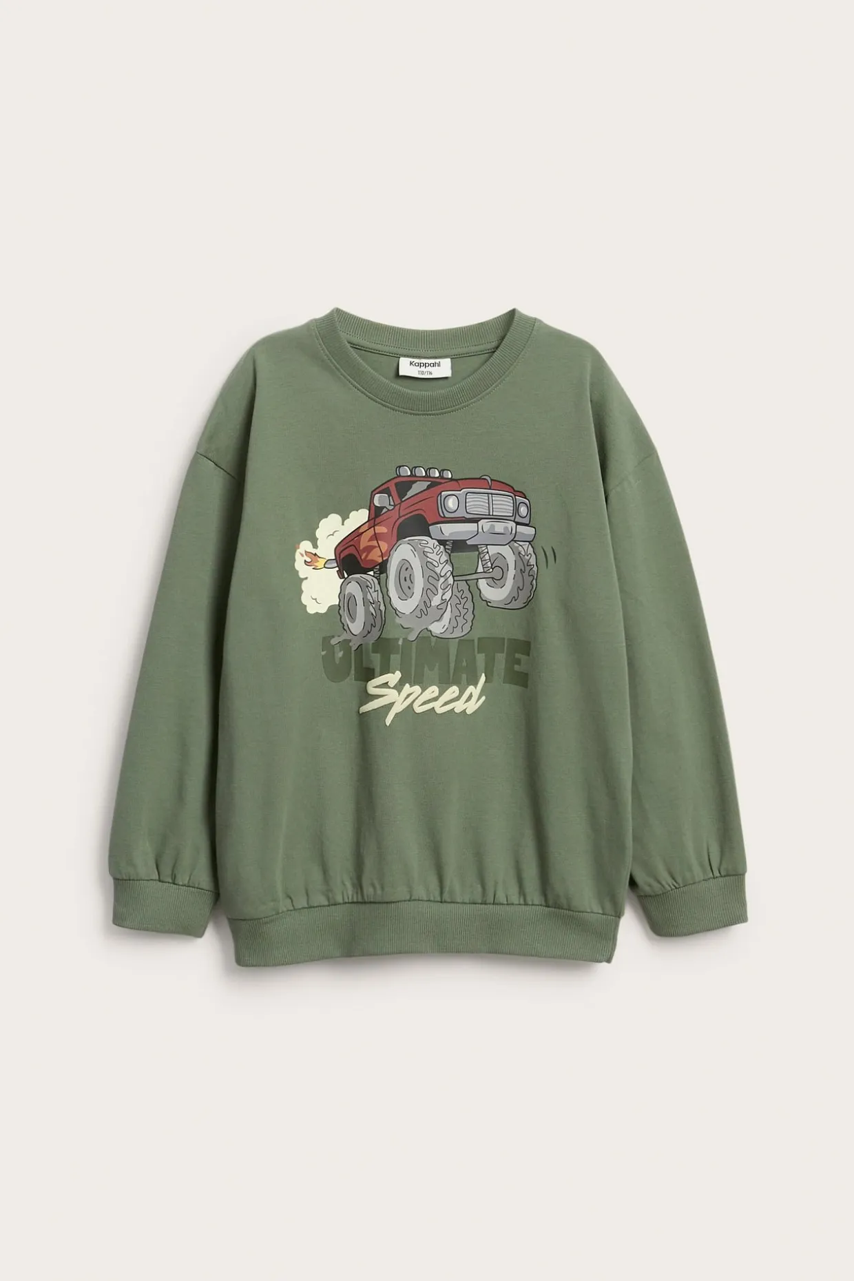 Sweatshirt i bomullstrikå med tryck av monsterbil