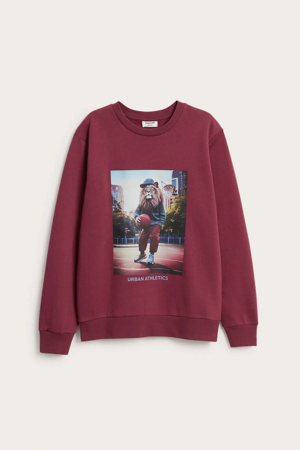 Sweatshirt med tryck