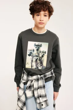 Sweatshirt med tryck