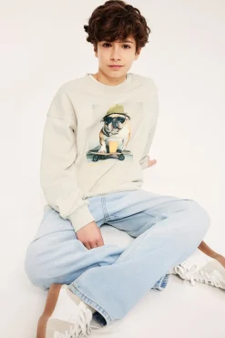 Sweatshirt med tryck