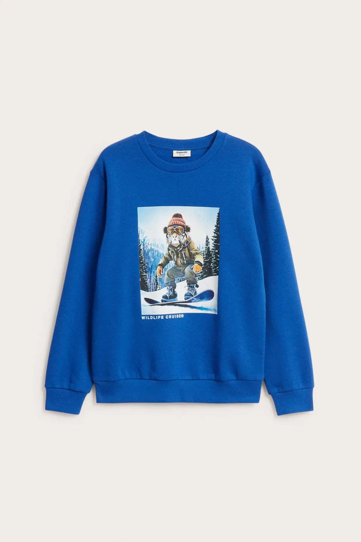 Sweatshirt med tryck
