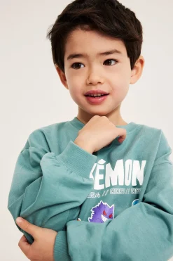 Sweatshirt Pokémon