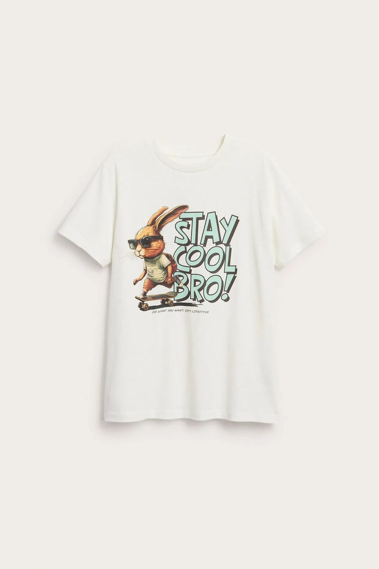 T-shirt med print fram